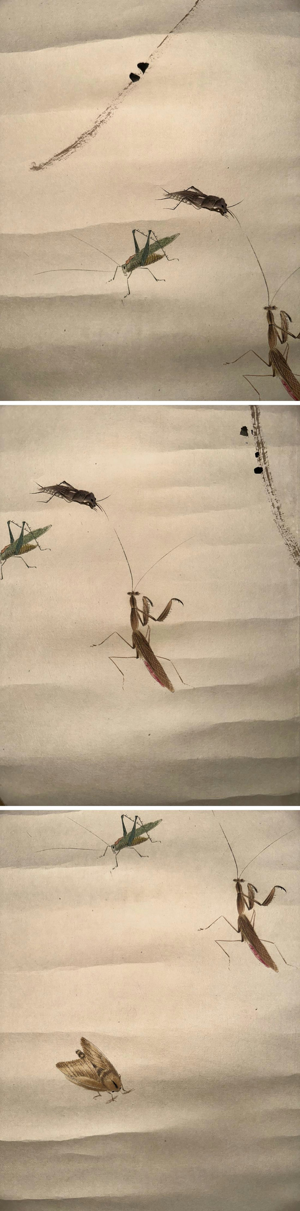 此商品圖像無法被轉載請進入原始網查看